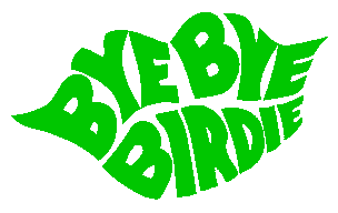 Bye Bye Birdie
