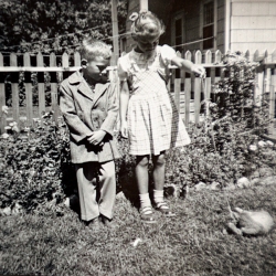 5D4-0663a 5D4-0663a