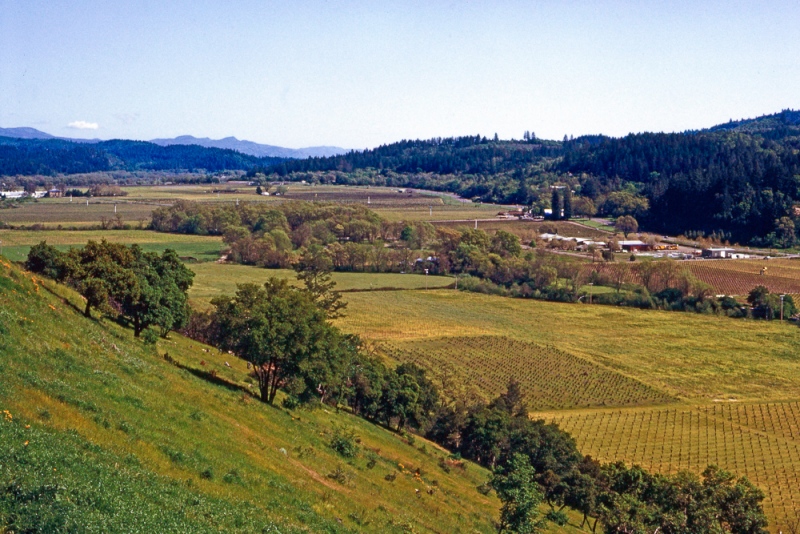 Napa Valley, CA Napa Valley, CA