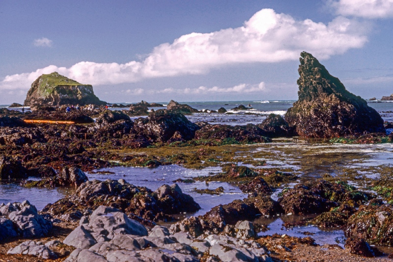 Van Damme State Park, CA Van Damme State Park, CA